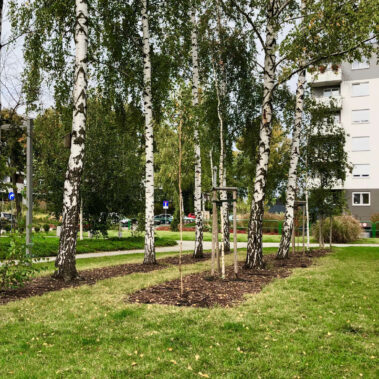 gdzie najlepiej mieszkać we Wrocławiu